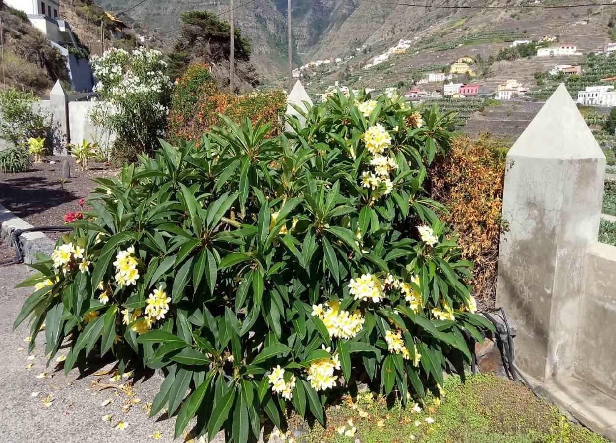 Gomera Garden. Vista Mar Altozano Hermigua Exterior foto